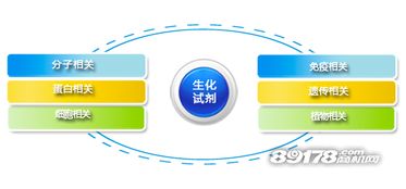 創(chuàng)業(yè)良機 加盟和興生物，搶占大健康產(chǎn)業(yè)藍(lán)海
